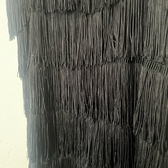 NWOT Flapper Girl Fringe Dress Unique Vintage - Picture 7 of 8